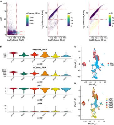 Intracranial Aneurysms Induced by RUNX1 Through Regulation of NFKB1 in Patients With Hypertension-An Integrated Analysis Based on Multiple Datasets and Algorithms